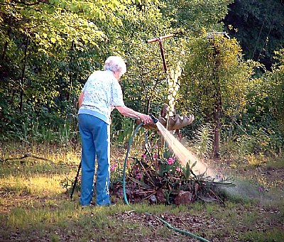Watering...