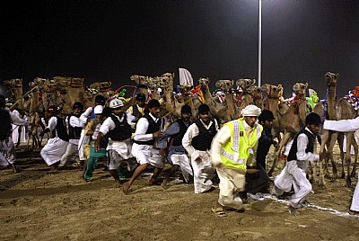 Camel Race