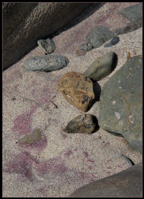 Pebbles & Purple Sand