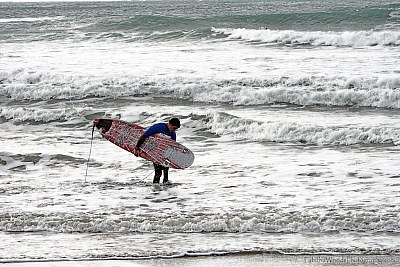 Surfer