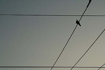 city2