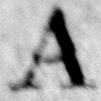 A-mour