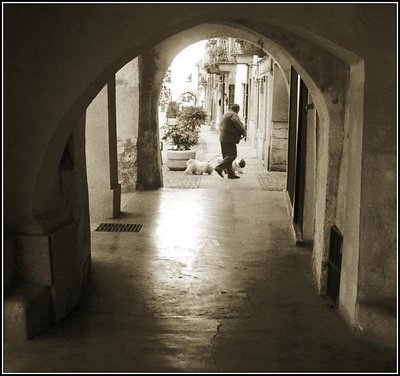 Through a frame