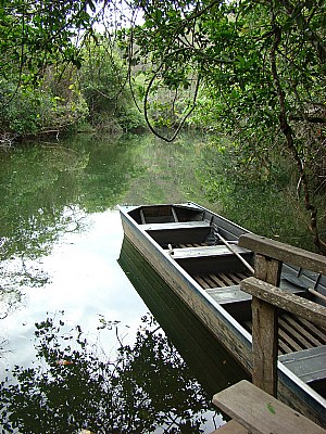 Brasil :: Bonito - Mato Grosso do Sul :: 