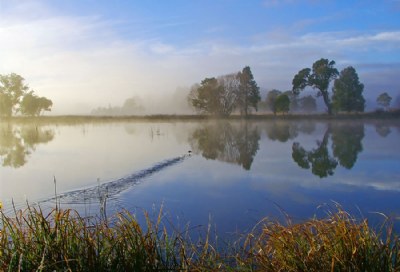 Ripples on the River