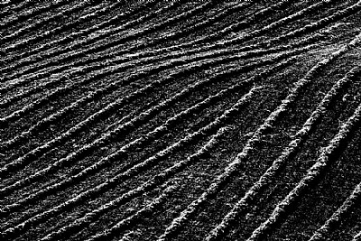 zen #8