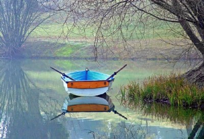 Boat on a Pond