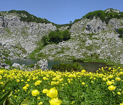 "black lake" treskavica