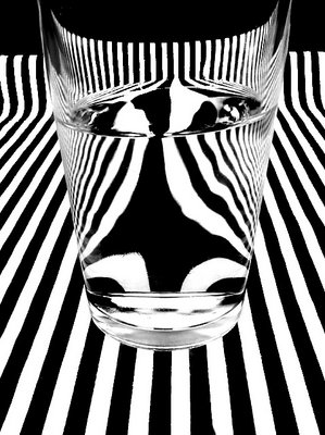 Zebra Water