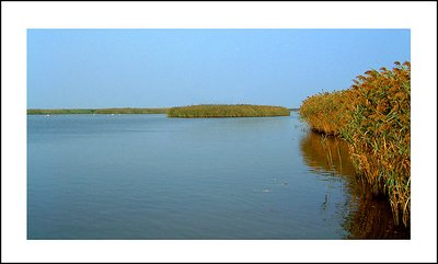 The river Evros