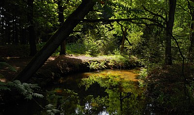 Beerze river