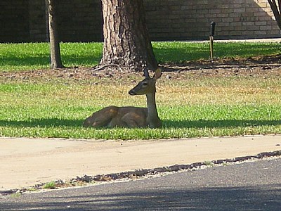 Keeping Guard