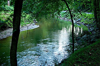 Rock Creek in Shade
