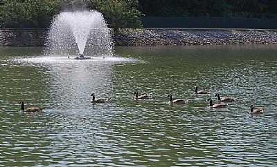 lake waterfall