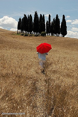 Red umbrella in the sun of Tuscany