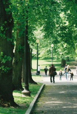 In the Park