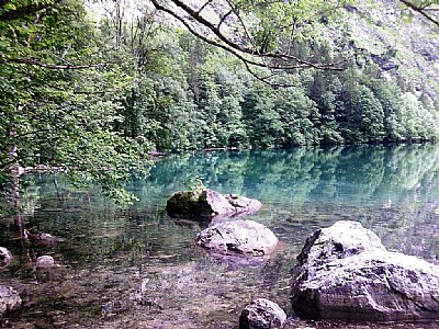 Stone in water