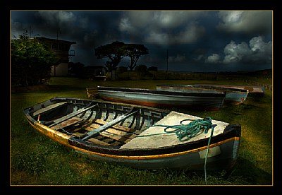 Out to Pasture