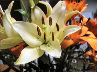 Signs of Summer