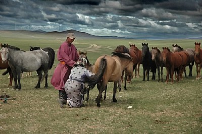 Mongolia 2006