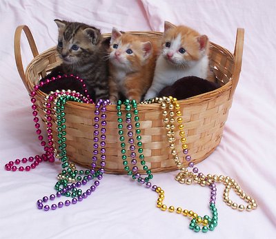 Three in a basket....