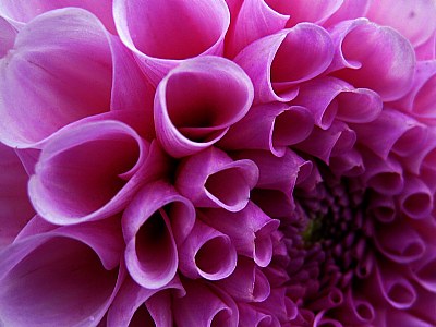 Cones