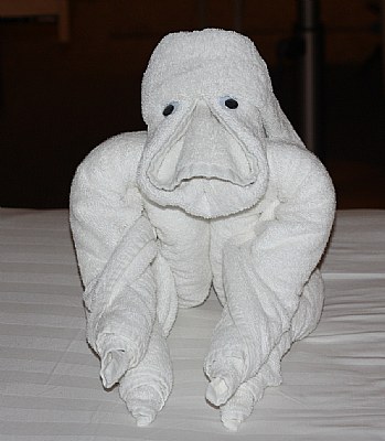 Towel Art