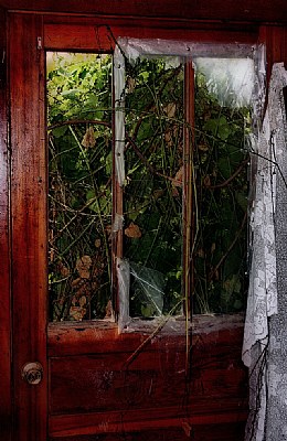 Old door