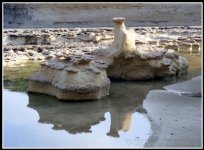 Sculpted by the Sea