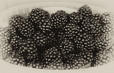 Dorina's blackberries