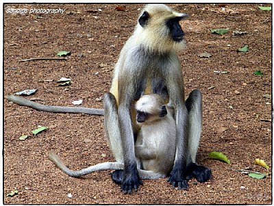 care of mother