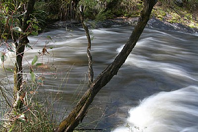 Beedelup Falls