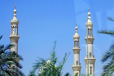 Mosque & Reflection