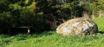 Pinic Table with Boulder