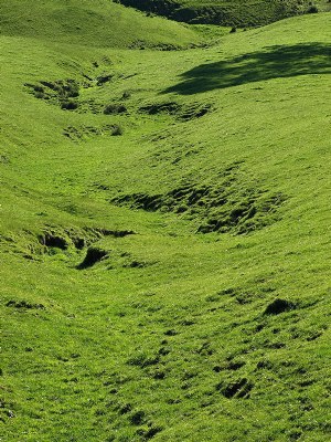 Green Gully