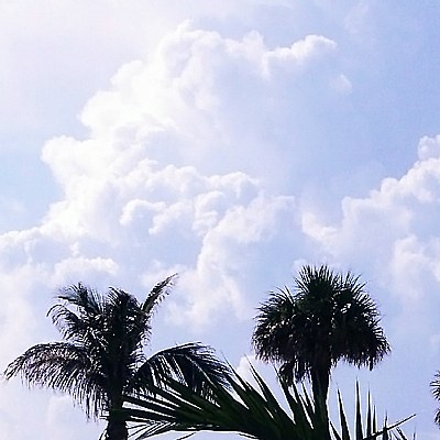 Clouds & Palms