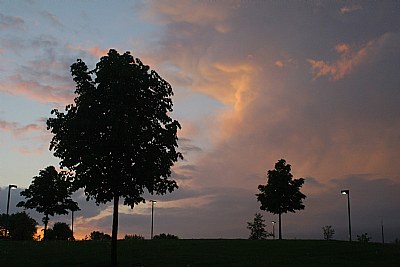 Summer updraft