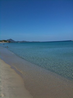 Sea Colours