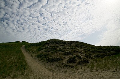 Sand Dune Lake Michigan