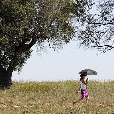 Hot italian summer