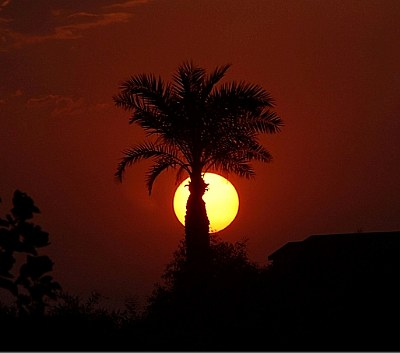 Dance with the sun