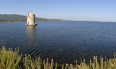Windmill in the lake