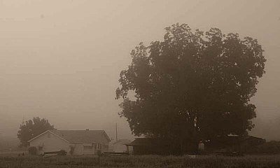 Foggy Morn