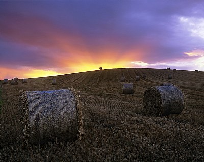 Straw Power Cells