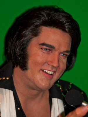 Elvis Without the Pelvis 