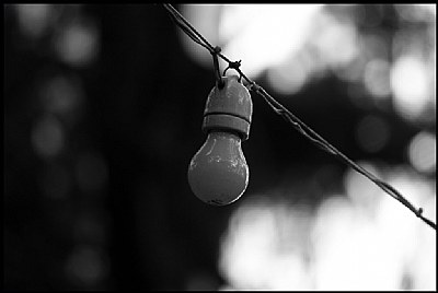 The Bulb