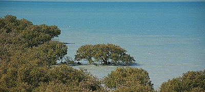 Roebuck Bay