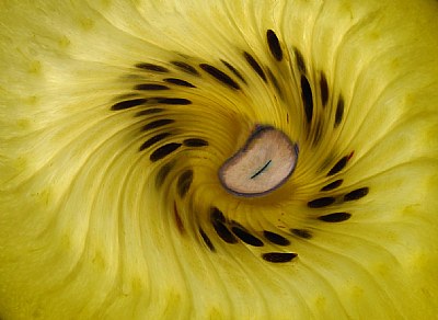 Eye of the Storm