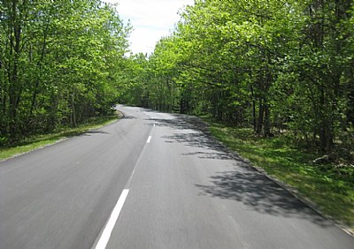 A road in Summer