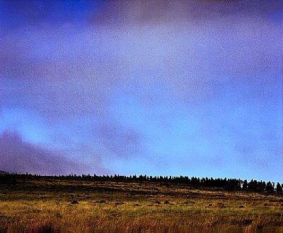 nature01mf